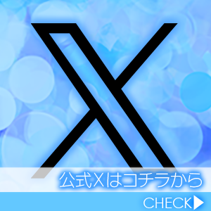 公式X